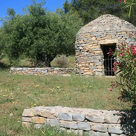 D'hotes Le Puid De Gauthier Bed & Breakfast Saturargues