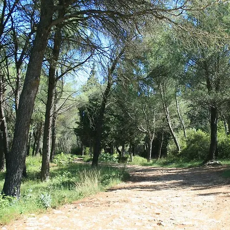 D'hotes Le Puid De Gauthier 3* Saturargues