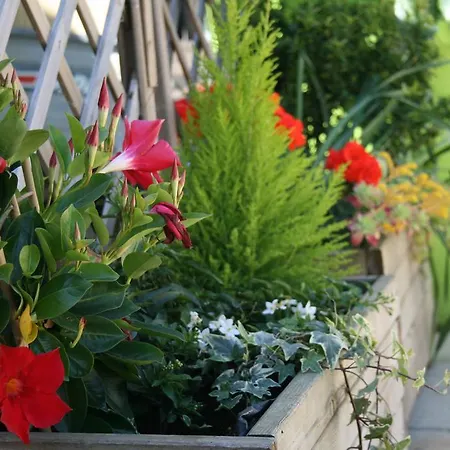 D'hotes Le Puid De Gauthier 3* Saturargues