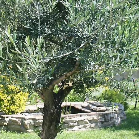 Bed & Breakfast D'hotes Le Puid De Gauthier 3*